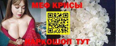 гашик Славгород