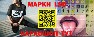 амф Сланцы