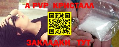 амф Сланцы
