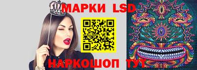 гашик Славгород